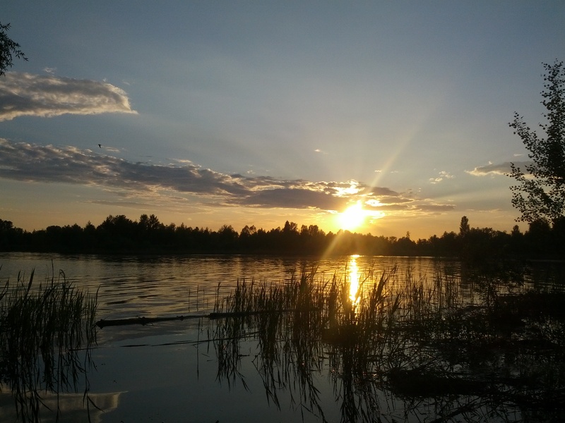 Окрестности Киева